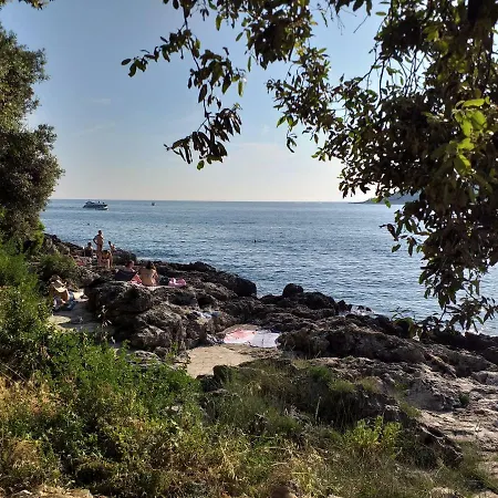 Levak - Apt. 2 Apartment *