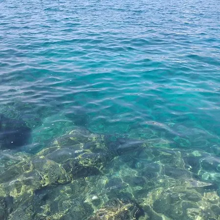 Levak - Apt. 2 Apartment