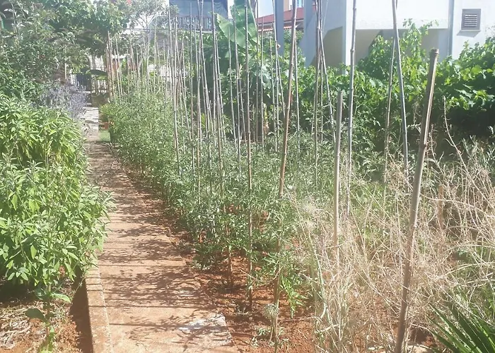 Levak - Apt. 2 Apartament Pjescana Uvala