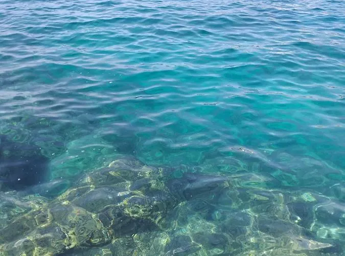 Levak - Apt. 2 Apartament