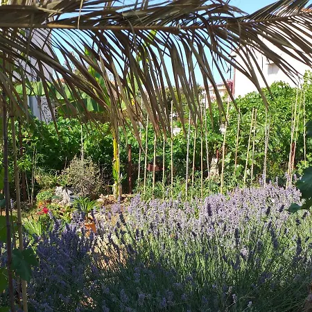 Apartmán Levak - Apt. 2