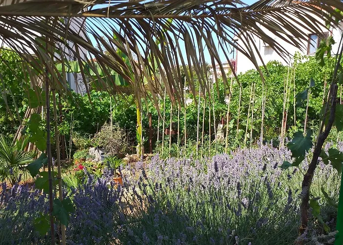 Διαμέρισμα Levak - Apt. 2